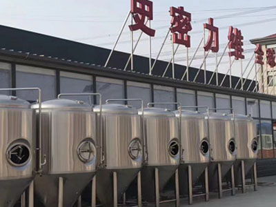 特克斯精酿啤酒设备厂—如何判断精酿啤酒设备的密封件需要更换？